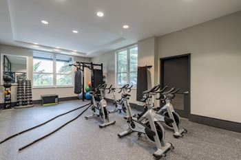 Luxury fitness center at one plantation apartments in plantation, fl 33324